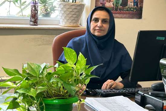 نرخ باروری گیلان به زیر یک رسید؛ بازگشت به وضعیت پایدار بیش از سه دهه زمان می‌برد