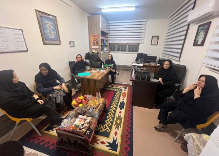 حضور کارشناسان اداره فوریت‌های اجتماعی، پیشگیری از آسیب‌های اجتماعی و بازتوانی اعتیاد بهزیستی کشور در گیلان