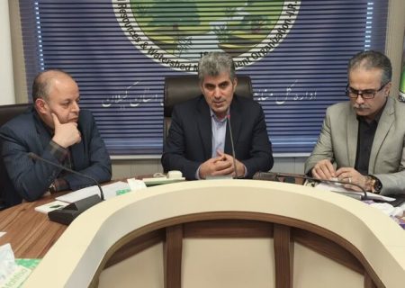 مخالف قطع درختان برای اجرای طرح‌ های سرمایه‌گذاری هستیم/ مدیران پیشگام درختکاری باشند
