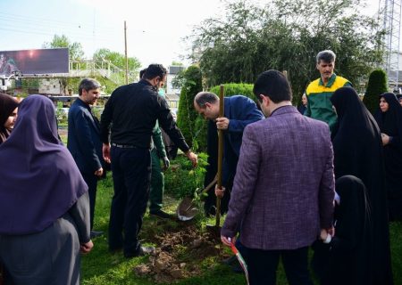 کاشت ۱۶۸ اصله نهال در رشت به یادشهدای دانش آموز میناب